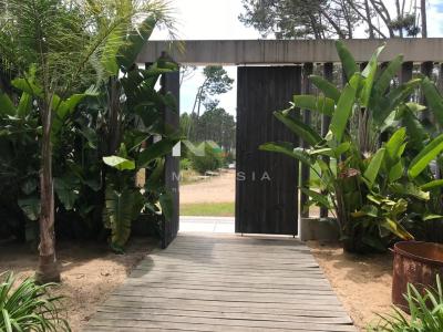 Casa 4 dormitorios en alquiler en Punta del Este, Punta del Este