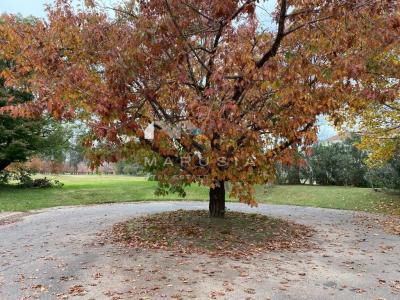 Terreno en venta en Pilar, Pilar