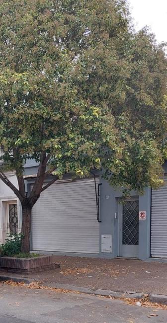 Local en alquiler en Monte Castro, Ciudad de Buenos Aires