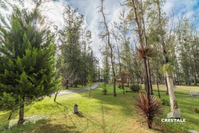 Terreno en venta, Campo Timbo, Campo Timbo, Oliveros