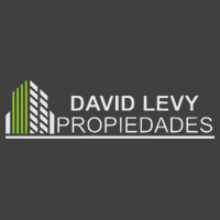 David Levy Propiedades